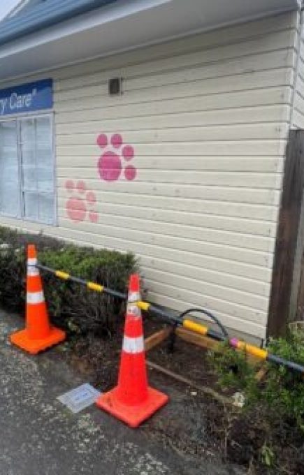 imgi_3_front-450x337