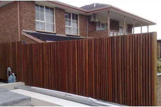 Screen-spotted-gum-2